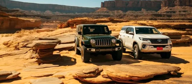 Vehicle Rentals
